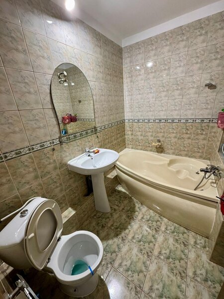 Teiul Doamnei, 4 camere de inchiriat.