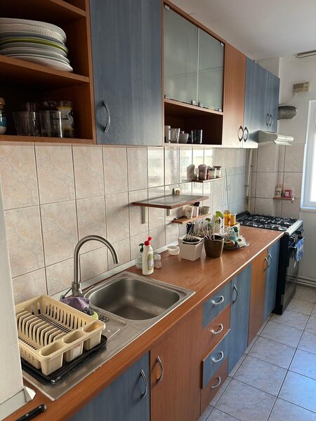 Teiul Doamnei, 4 camere de inchiriat.