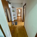 Teiul Doamnei, 4 camere de inchiriat